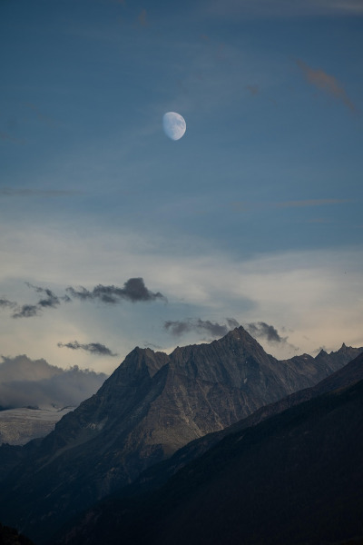 alps winter mist forest